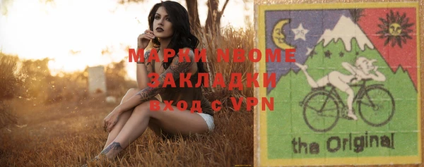 индика Алзамай