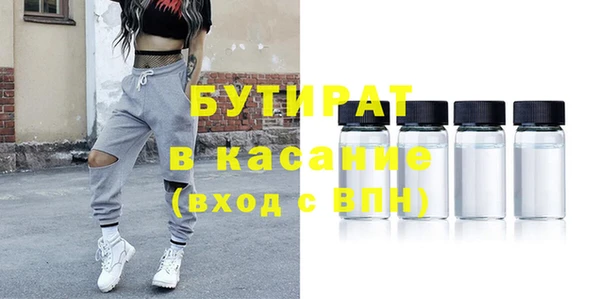 индика Алзамай