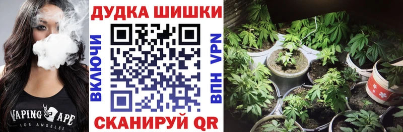 Канабис сатива купить Ейск